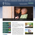 Website Design, Mission of TEARS